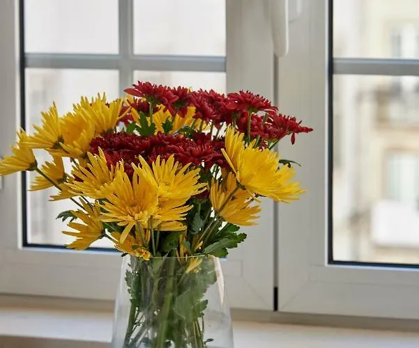 Guarda-mor Apartment